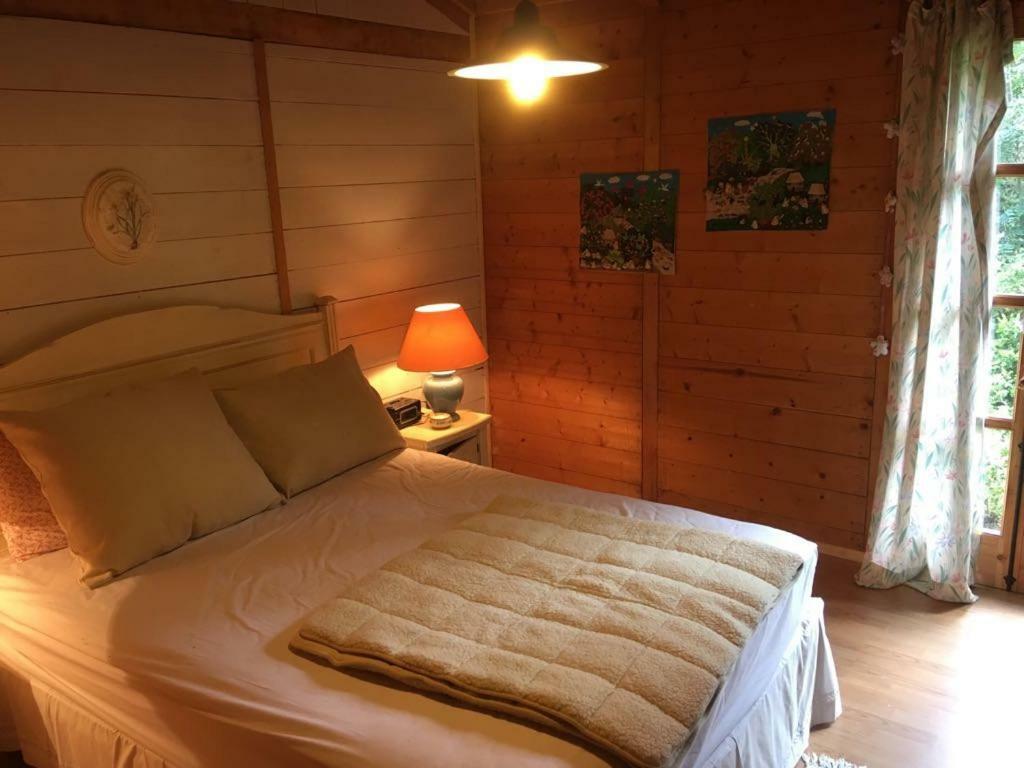 Huincaterra Hotel Villarrica Luaran gambar